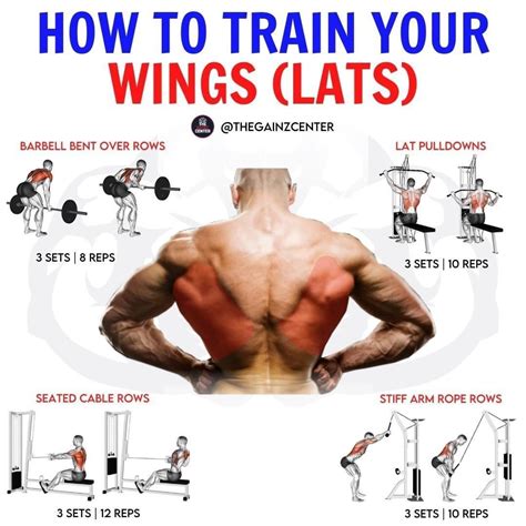 Lats Exercises (wings)#ytshorts#shorts #viral - YouTube