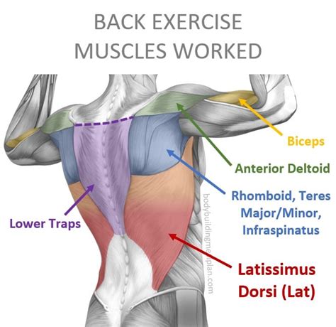 Lats _Kki Leaked [PPV] 💋 246 Vids