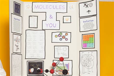 Laughs as Math Project With Secret XRated Message Wins Fair
