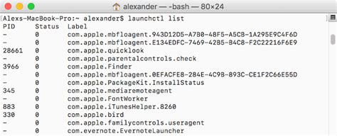 Launchd example.  A list of often used keys follows below.  MacOS launchd plist FAQ: Can you...
