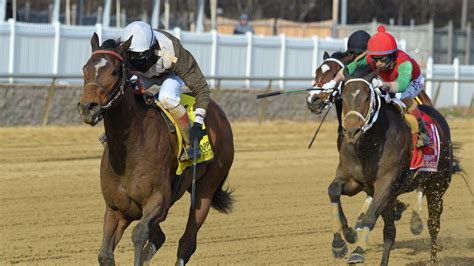 Laurel park horse racing picks. Things To Know About Laurel park horse racing picks. 