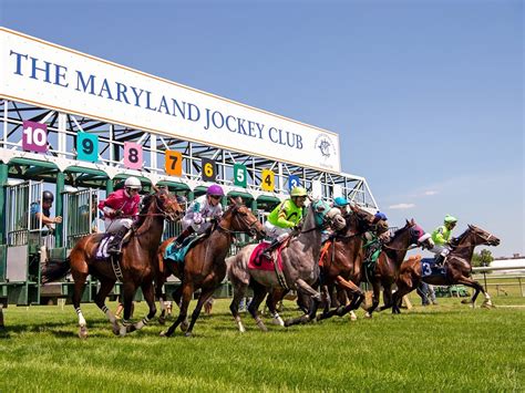 Laurel park racetrack results. Things To Know About Laurel park racetrack results. 