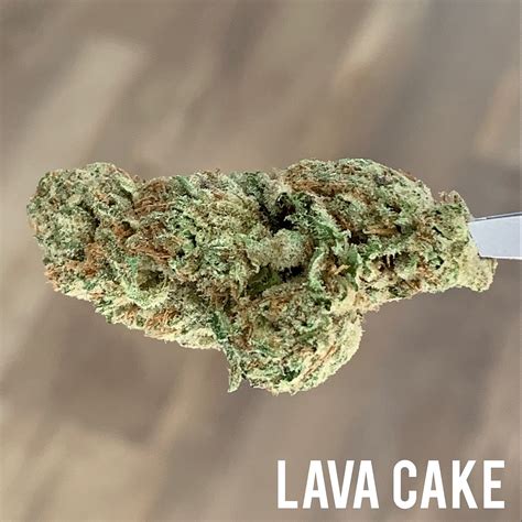 Lava Cake is a powerful indica- hybrid marijuana strain made by crossing Thin Mint GSC with Grape Pie. Lava Cake produces deeply relaxing effects that ease the mind and body. This strain is ideal .... 