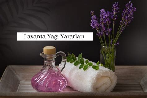 Lavanta Halı ve Koltuk Yıkama