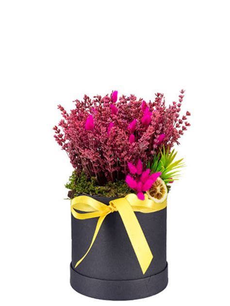 Lavantalar.#lavantakokulukelebekler #dışmekançekimi #doğa. 