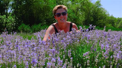 Lavender Ice Cream??? Visiting Calico Fields In Millington, …