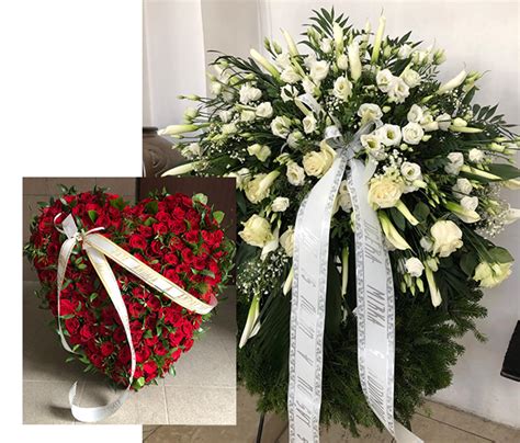 Lavye Halı ve Koltuk Yıkama