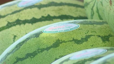 Law enforcement watching for watermelon thieves