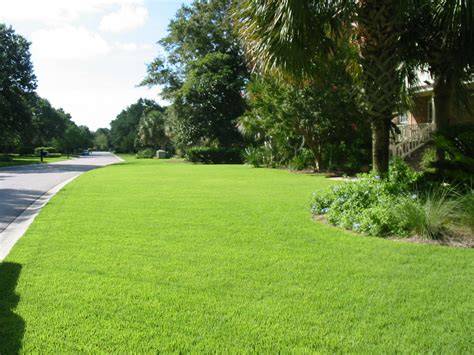 Lawn Care in Charleston County Lawn Doctor of Charleston