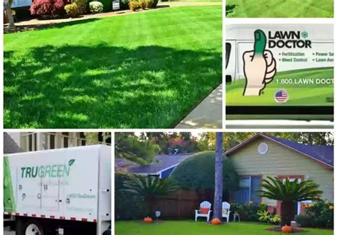 Lawn Doctor Vs Trugreen Prices