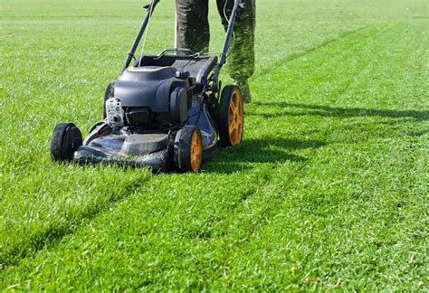 Lawn Maintenance Newcastle – Dominant Property Services