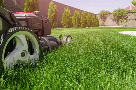 Lawn Services & Lawn Mowing in San Antonio, TX