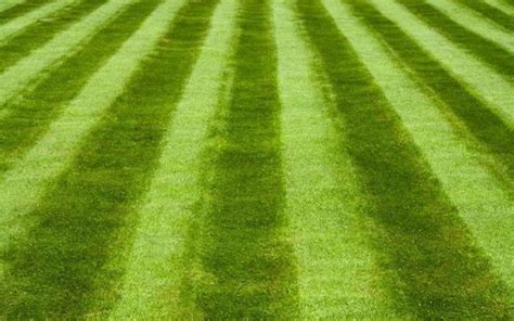 Lawn Striping Guide Pro Tips For The Best Stripe Pattern