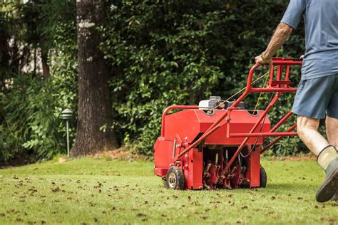 Lawn aeration services. Lawn aeration service in Denver is an essential part of keeping your lawn healthy. Protect your lawn against clay soil in most areas of the front range. 