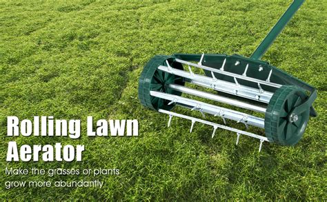 Maintaining a healthy and lush lawn requires more t