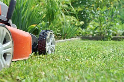 Lawn care. 14 Apr 2019 ... Lawn care tips for beginners - how to fix your lawn this season in 3 easy steps: Email newsletter free each week - packed with free lawn ... 