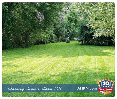 Lawn care 101: Spring