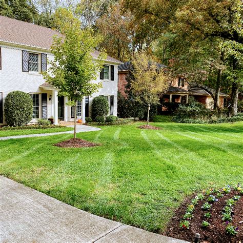 Lawn care charlotte nc. Seeding and Fertilizing. Lawns and Stripes’ seeding services include initial seeding, spot seeding, and overseeding. We can also provide a 1-time fertilization or customize an animal-friendly fertilization plan to keep your pets safe. Get the lush lawn you've always wanted. 