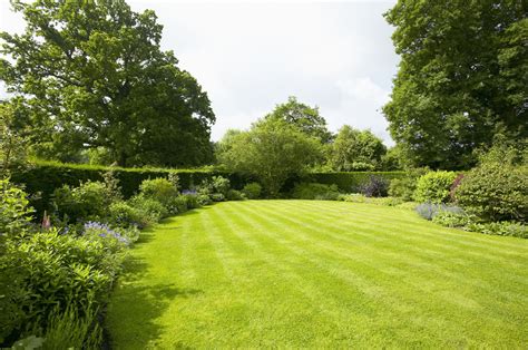 Lawn green. Soap does not kill grass. In fact, soap, and more specifically, dishwashing liquid, is actually part of a process to help grass grow even more lush, notes Reader’s Digest. Accordin... 