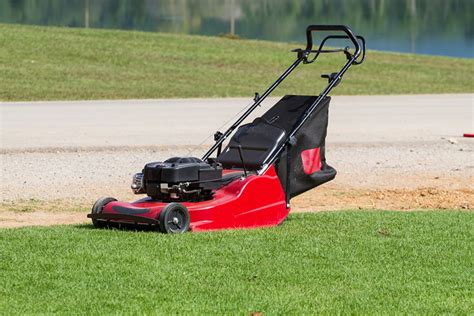 See more reviews for this business. Top 10 Best Lawn Mower in Dallas, TX - April 2024 - Yelp - Richardson Saw & Lawnmower, Tony’s Equipment Repair, Plano Power Equipment, Storm Lawn & Garden, Crockett Service Center, Outdoor World, Mower Medic & Power Equipment, Casey's Lawn Equipment, Expert Yard and Garden, R&R Small Engines Repair.. 