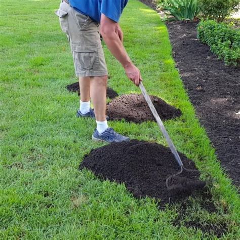 Lawn repair. Things To Know About Lawn repair. 