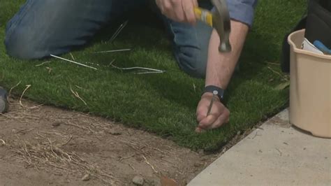 Lawn thieves nick artificial turf in Studio City