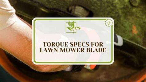 2,256. May 16, 2020 / Torque Wrench for blade replacement HRX217. #6. Once you've used a torque wrench a couple times to tighten a nut to 36 to 43 ft-lb, you won't need it again. Your arm will tell you. So don't waste your money on a good one unless you've got other uses for it.. 