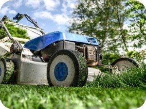 Lawntonics - Lawn Care Treatments and Maintenance Experts