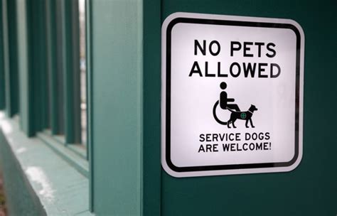 Laws Regarding Dogs in a Grocery Store Your Business