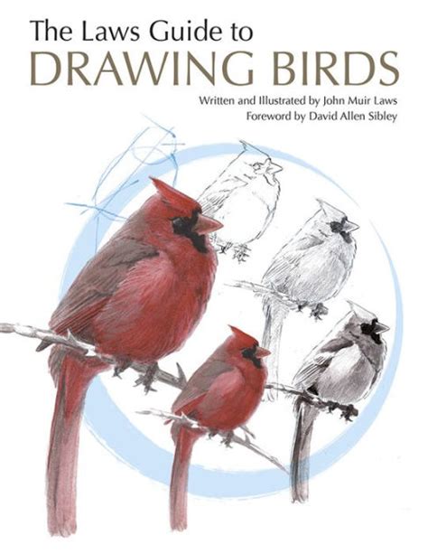 Laws guide to drawing birds the. - Handbücher für die militärische ausbildung military training manuals.