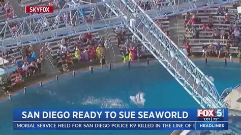 Lawsuit filed against SeaWorld San Diego for failure to pay rent