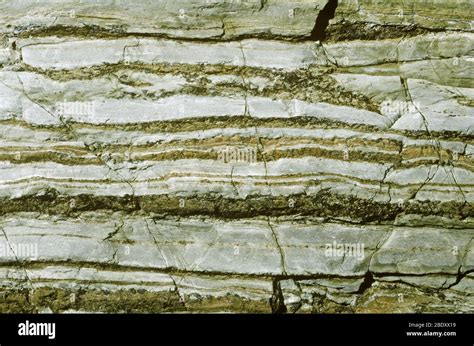 How Limestone and Sandstone Appear. Many sedimentary rocks, including sandstone, display a visible stratification into layers. This visual cue can help determine how a rock came to be primarily based at the size and intensity of each layer. Limestone does not have the stratification pattern that sandstone does.. 