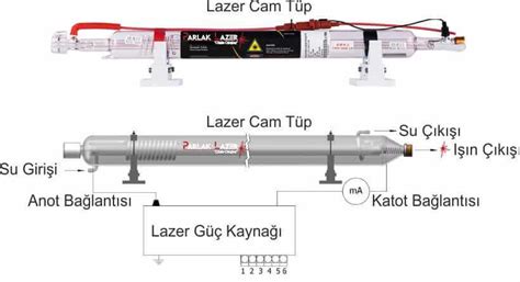 codini.rgarabwor.edu.pl. 