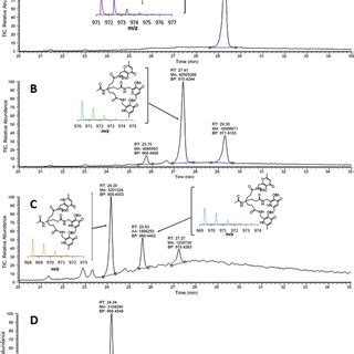Lc Ms Analysis Total Ion Current Of The Reaction Mixture For Download Scientific Diagram