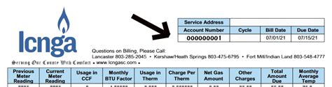 Account Name Status Service Address Due Date Ba
