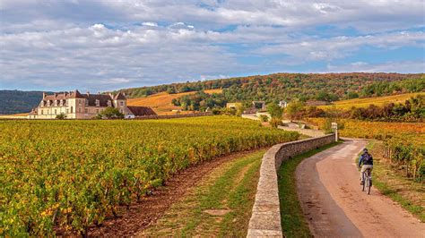 Le Chemin des Vignes