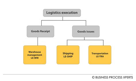 Le Logistics Execution Sap R 3 Enterprise