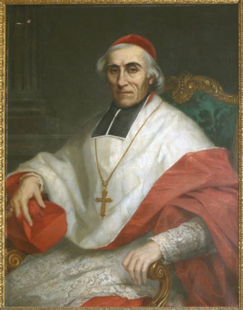 Le cardinal joseph hippolyte guibert, oblat de marie immaculée (1802 1886). - The 911 report a graphic adaptation.
