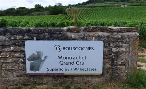 Le montrachet bernard ginestets guide to the vineyards of france. - Toshiba satellite m35x sxxx motherboard repair manual fully filled 7 pages.