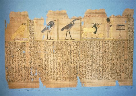 Le papyrus du louvre n. - Manuale di vcm pump clyde union.