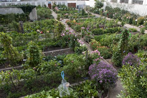 Le potager Caillebotte - Home - Facebook