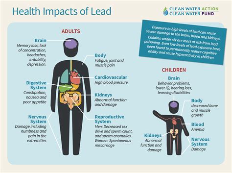 Lead and cancer in humans: where are we now? - PubMed