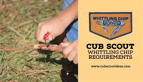 Leaders guide whittling chip cub scouts. - Farfalle e falene una guida della natura d'oro.
