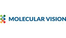 Leadership Molecular Vision Laboratory