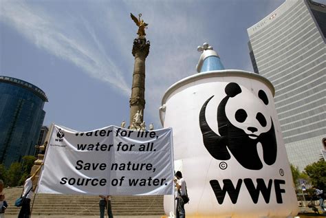 Leadership WWF - World Wildlife Fund