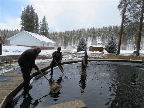 Leadville National Fish Hatchery - Alchetron, the free social …