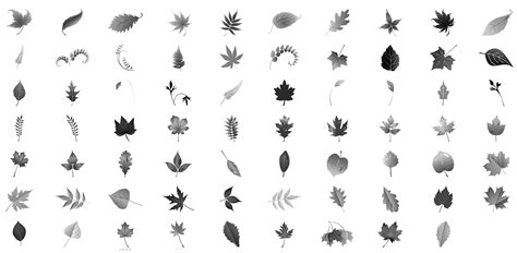 Leaf Brushes PSD - Freepik