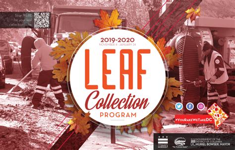 Leaf Collection dpw - Washington, D.C.