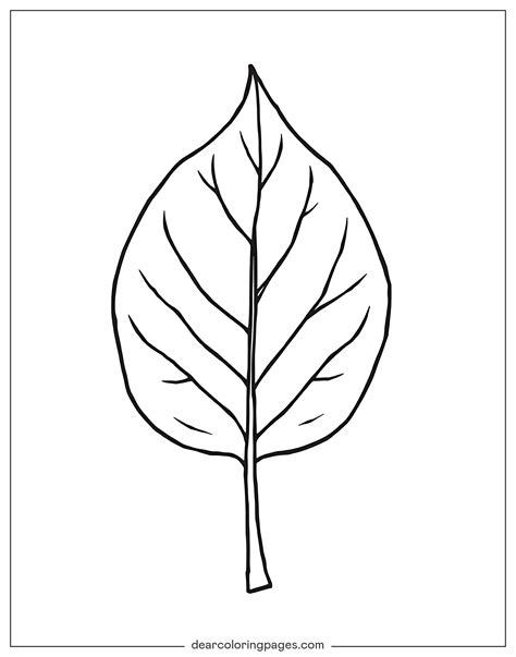 Coloring Page Tooth
