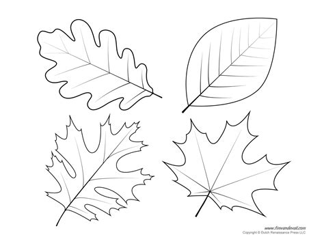 Leaf Coloring Template